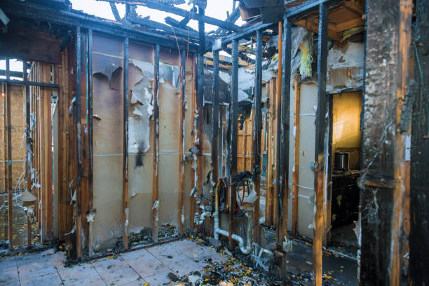 Professional Fire Damage Removal technician working in East Northport, NY